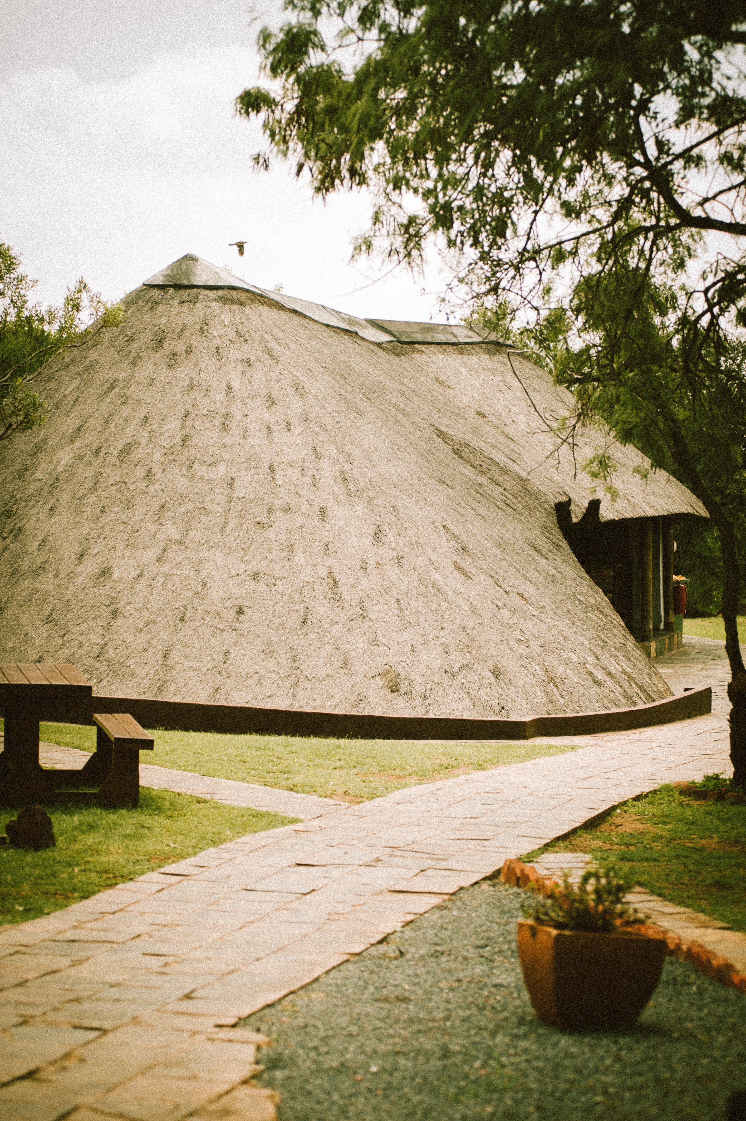 Premium Golf & Safari Week