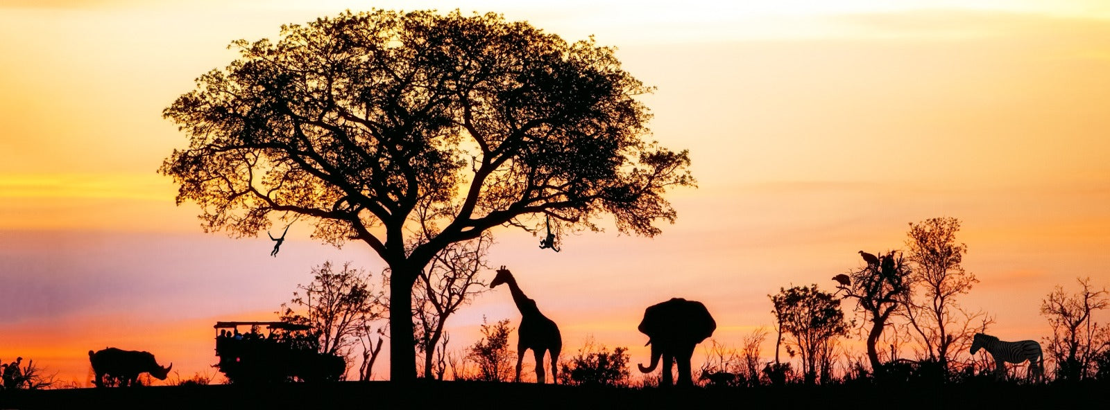Exclusive train and safari adventure