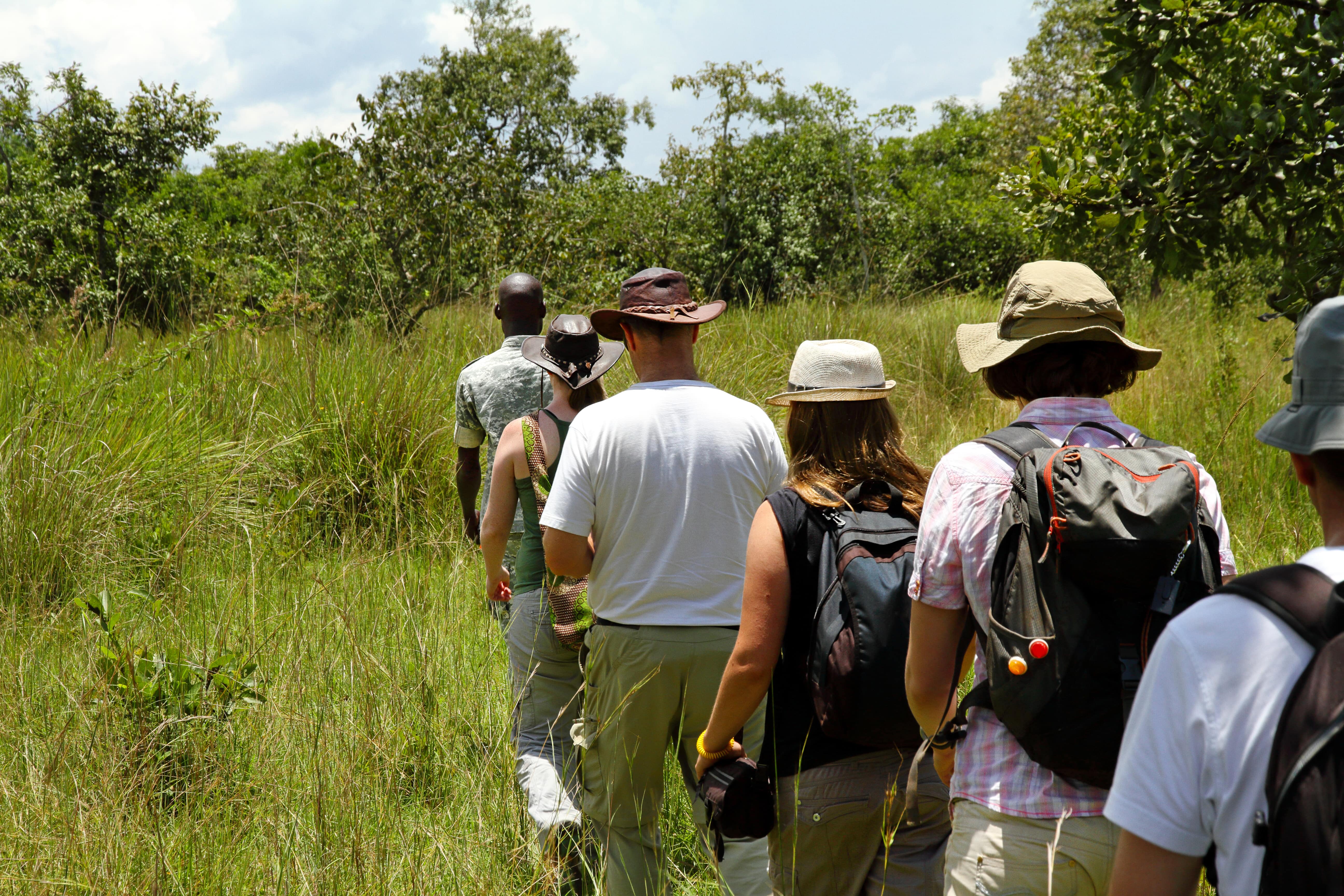 Ultimate luxury safari travel package