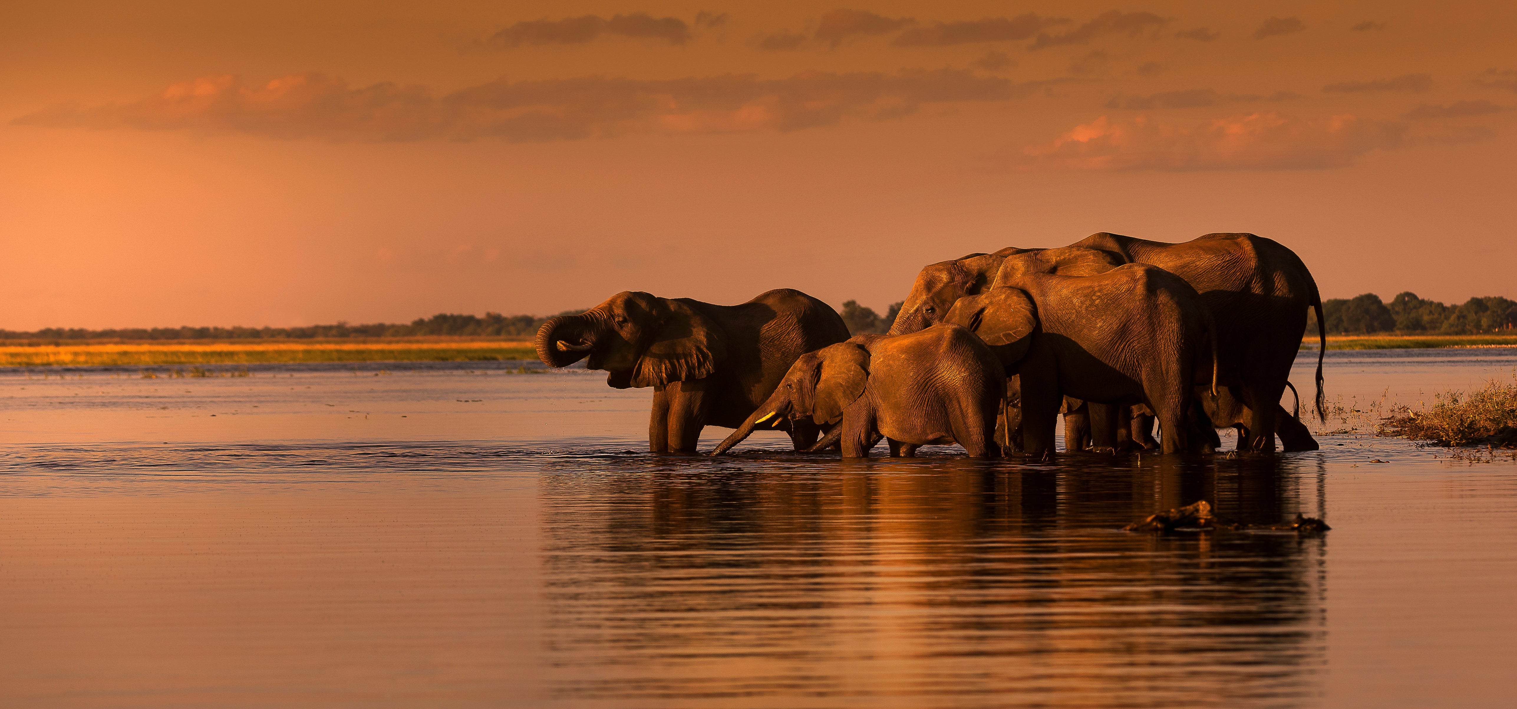 Deluxe photography safari