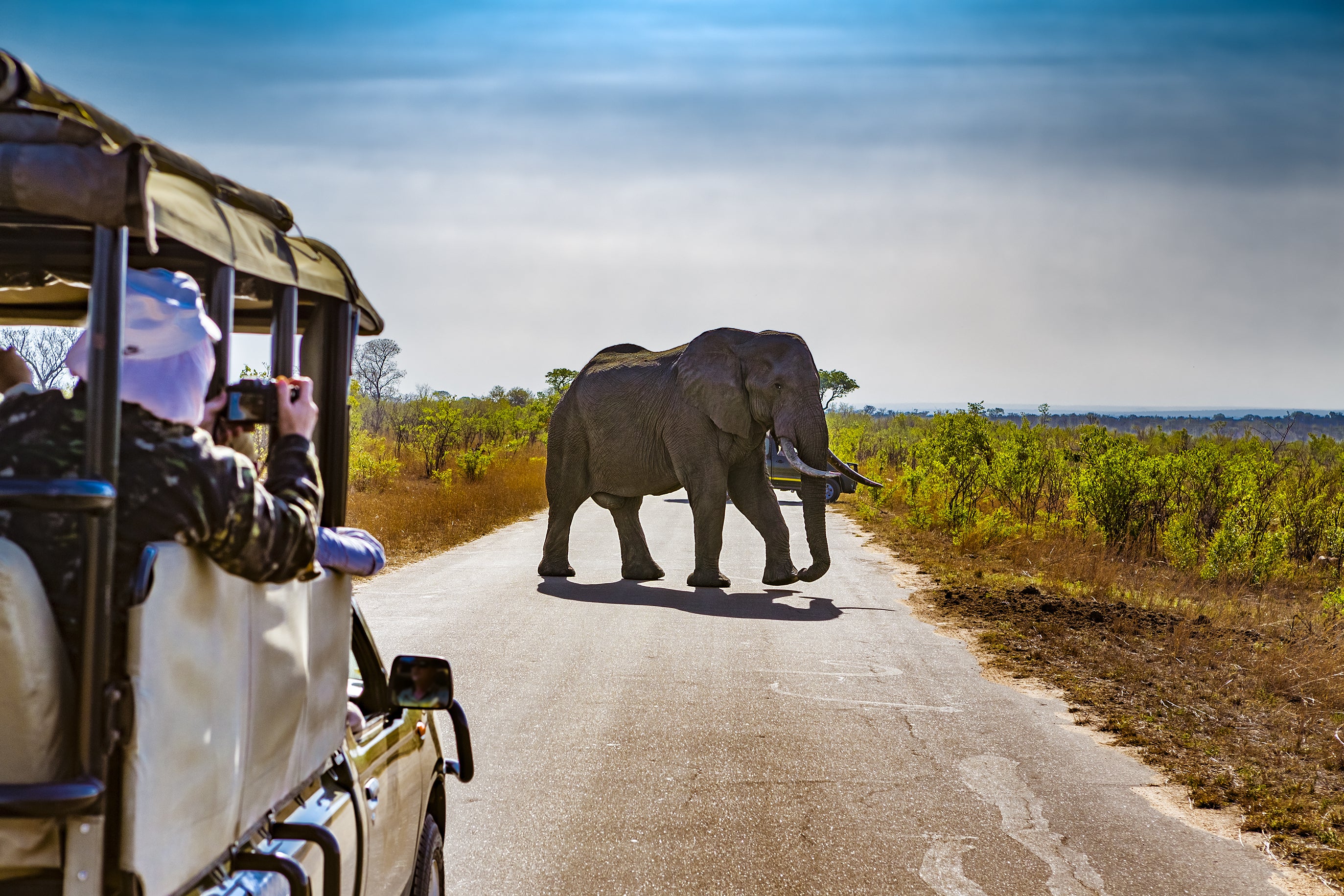 Deluxe photography safari