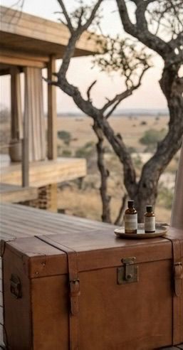 Wellness- und Entspannungs-Safari