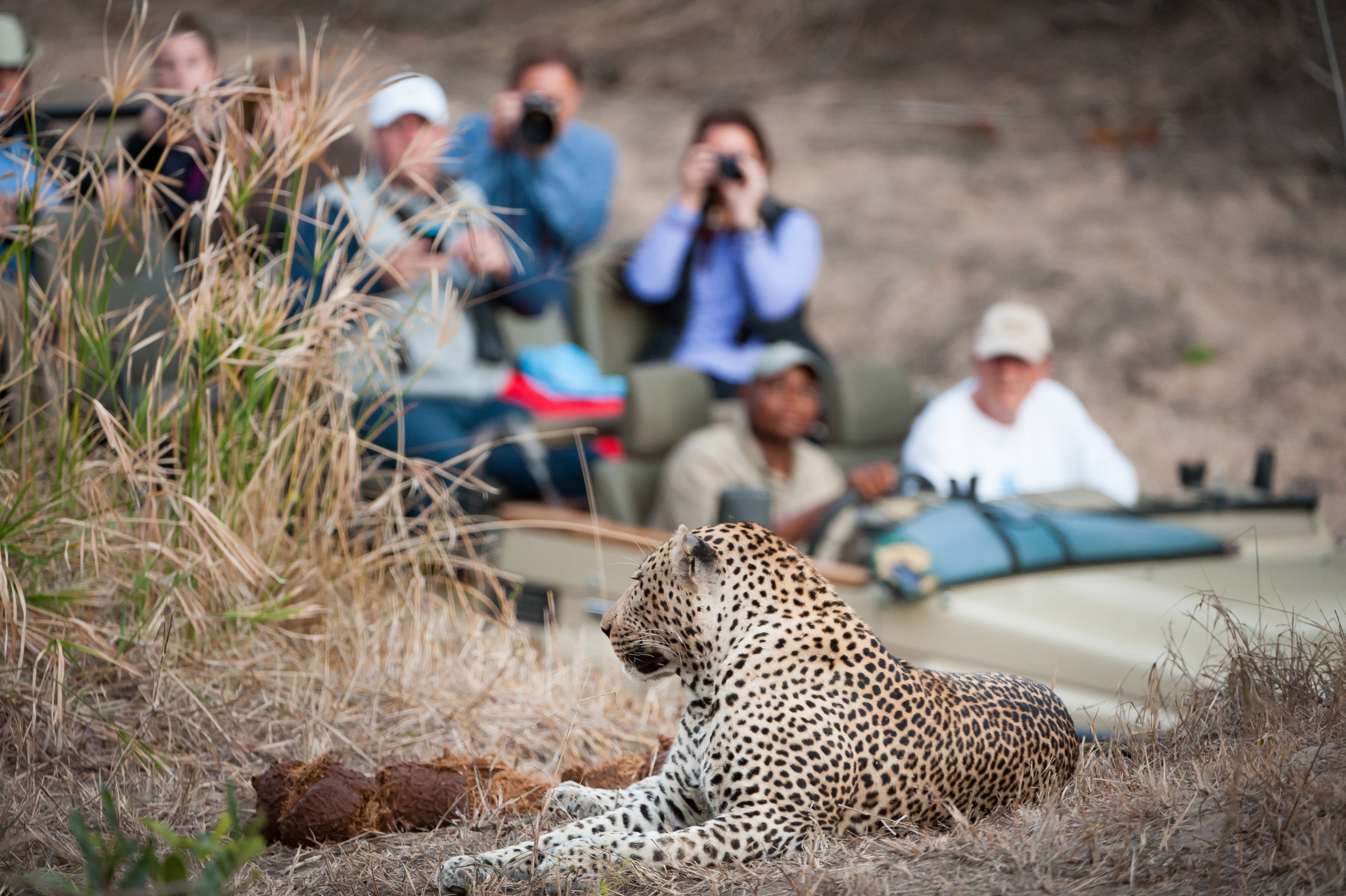 Luxury wildlife safari package 